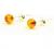 Genuine Baltic Amber Stud Earrings with Sterling Silver, Hand Made from Genuine Baltic Amber