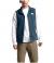 The North Face Men's Gordon Lyons Vest