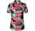 SSLR Womens Hawaiian Shirt Floral Blouses Short Sleeve Button Down Shirts for Women