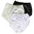 Carole Brand - Classic Nylon Panties For Women Full Cut, High Rise Briefs - Pack of 3 (New and Improved Fit)