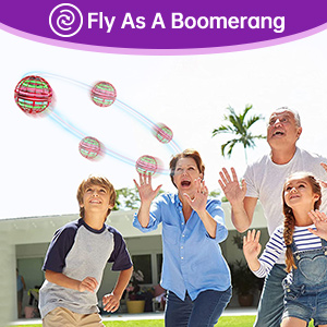 Boomerang Spinner