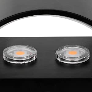 LED Wall sconce
