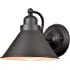 YUBOLE Farmhouse Gooseneck Wall Sconce Matte Black Simplicity 1-Light Wall Lamp Porch Kitchen Hallway Wall Light Fixture