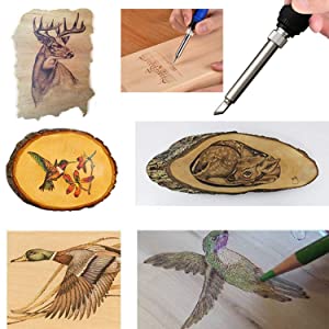 wood burning tool